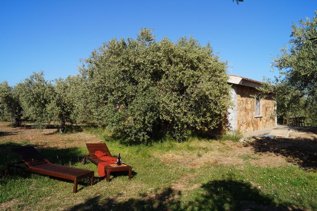 Sa Tanca De Mannoi Guest House Orosei Exterior photo